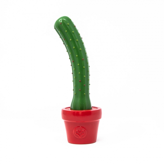 Kaktus - mit Noppen
